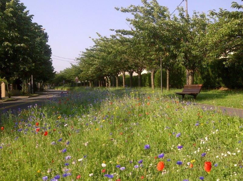Appart Hotel Studihotel Palaiseau Plateau Saclay 外观 照片